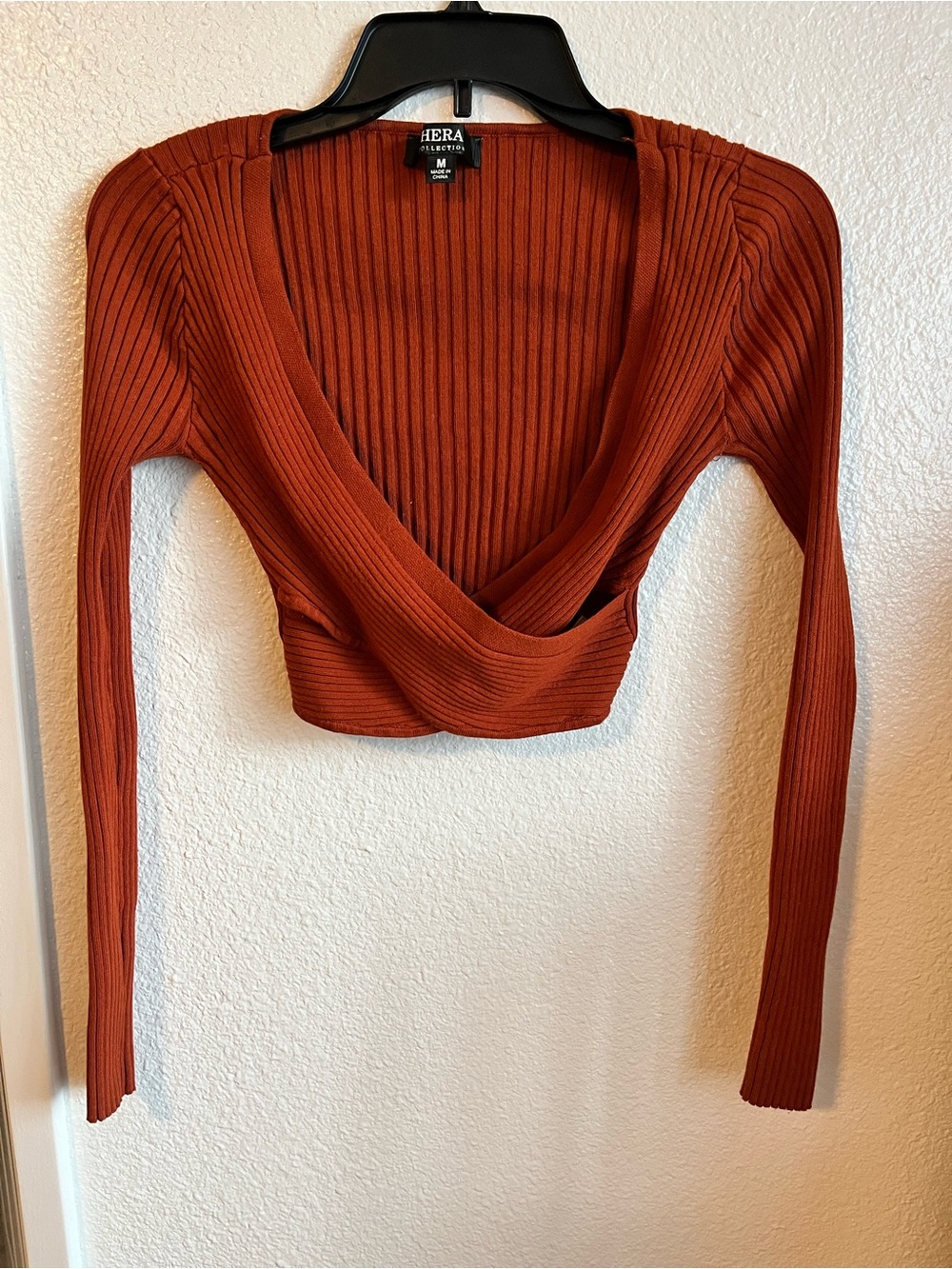 Long Sleeve Knit Crop Top